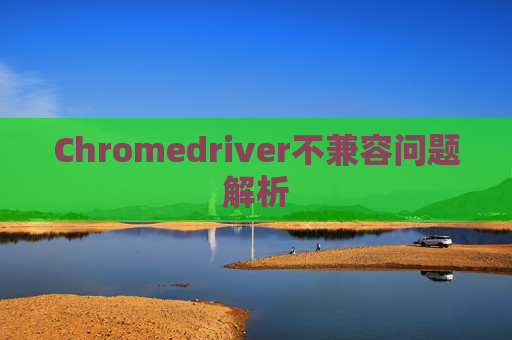 Chromedriver不兼容问题解析
